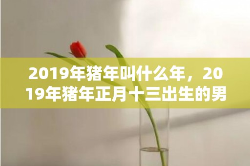 2019年猪年叫什么年，2019年猪年正月十三出生的男孩五行缺土的名字推荐
