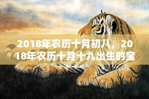 2018年农历十月初八，2018年农历十月十九出生的宝宝怎么取名？当天的运势好吗？