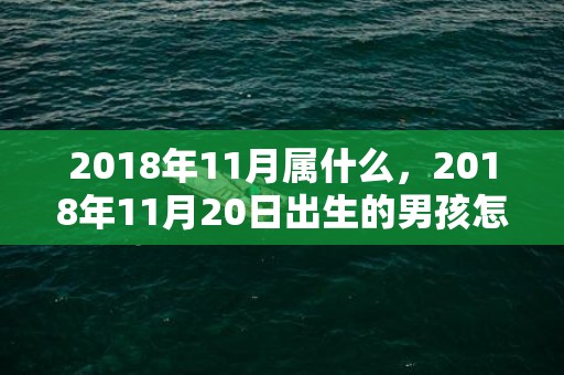 2018年11月属什么，2018年11月20日出生的男孩怎么取名？如何给孩子取名？