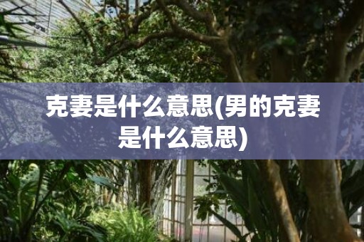 克妻是什么意思(男的克妻是什么意思)