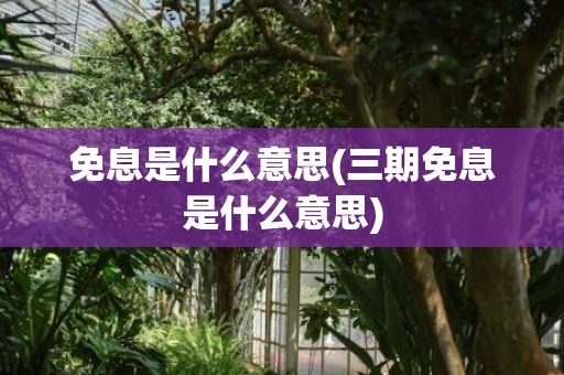 免息是什么意思(三期免息是什么意思)
