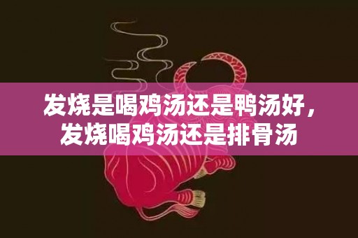 发烧是喝鸡汤还是鸭汤好，发烧喝鸡汤还是排骨汤