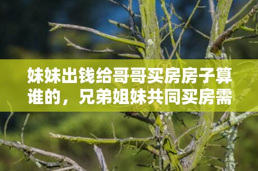 妹妹出钱给哥哥买房房子算谁的，兄弟姐妹共同买房需要注意哪些事项