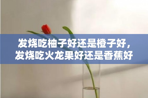 发烧吃柚子好还是橙子好，发烧吃火龙果好还是香蕉好
