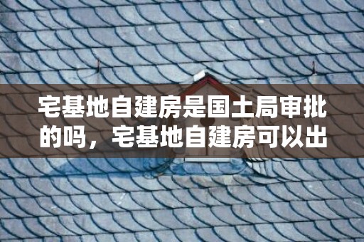 宅基地自建房是国土局审批的吗，宅基地自建房可以出售吗