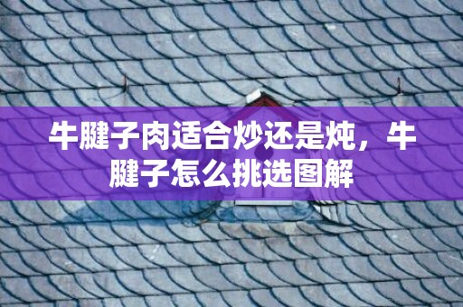 牛腱子肉适合炒还是炖，牛腱子怎么挑选图解
