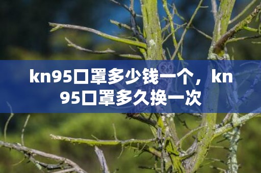 kn95口罩多少钱一个，kn95口罩多久换一次