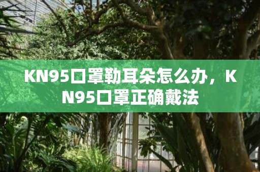 KN95口罩勒耳朵怎么办，KN95口罩正确戴法