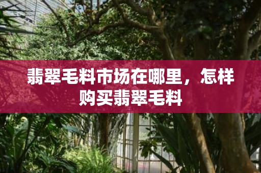 翡翠毛料市场在哪里，怎样购买翡翠毛料
