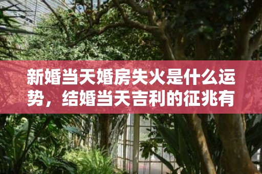 新婚当天婚房失火是什么运势，结婚当天吉利的征兆有哪些