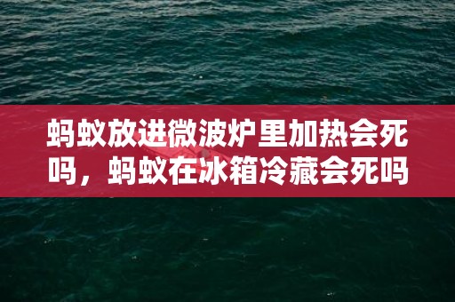 蚂蚁放进微波炉里加热会死吗，蚂蚁在冰箱冷藏会死吗