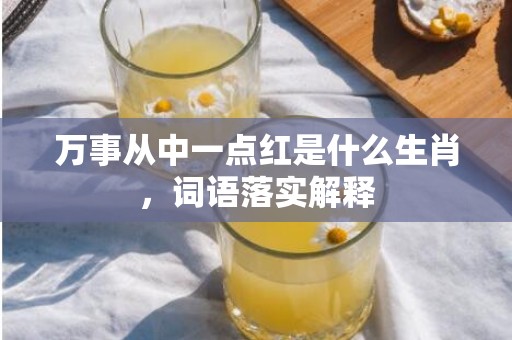 万事从中一点红是什么生肖，词语落实解释