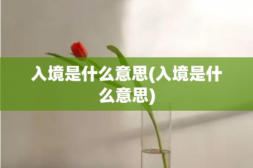 入境是什么意思(入境是什么意思)