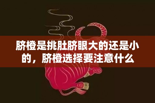 脐橙是挑肚脐眼大的还是小的，脐橙选择要注意什么