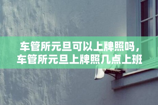 车管所元旦可以上牌照吗，车管所元旦上牌照几点上班