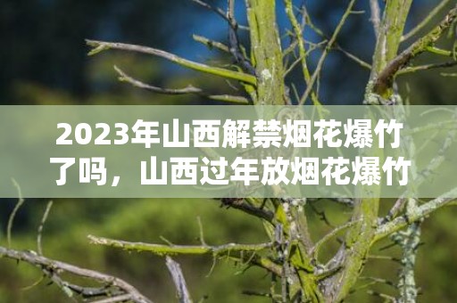 2023年山西解禁烟花爆竹了吗，山西过年放烟花爆竹怎么处罚