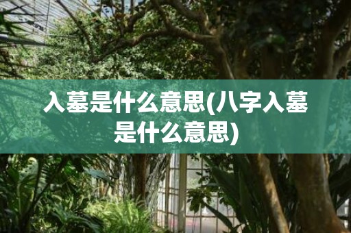 入墓是什么意思(八字入墓是什么意思)