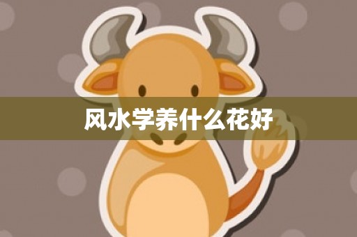 风水学养什么花好