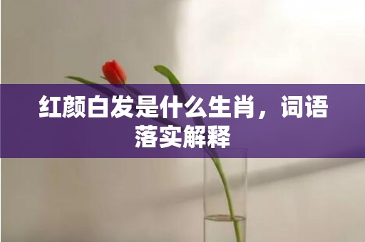 红颜白发是什么生肖，词语落实解释