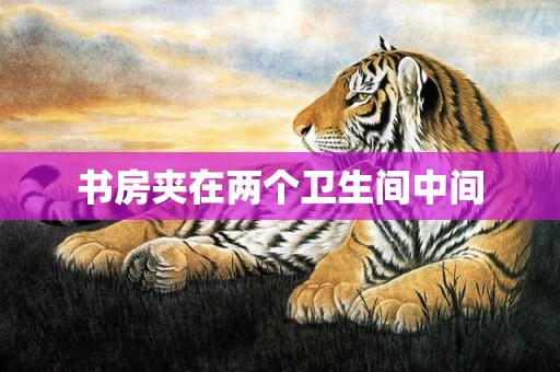 书房夹在两个卫生间中间