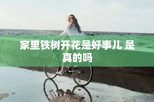 家里铁树开花是好事儿 是真的吗