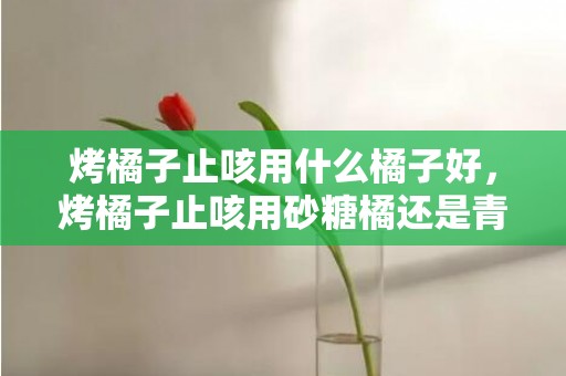 烤橘子止咳用什么橘子好，烤橘子止咳用砂糖橘还是青橘