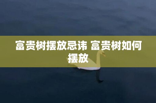 富贵树摆放忌讳 富贵树如何摆放