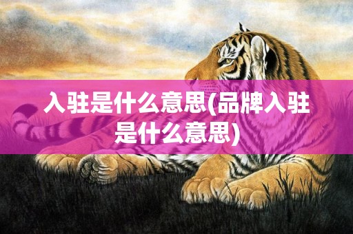 入驻是什么意思(品牌入驻是什么意思)