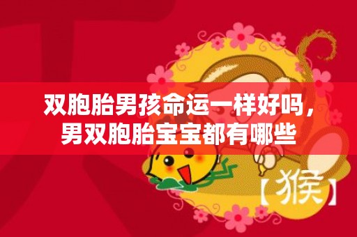 双胞胎男孩命运一样好吗，男双胞胎宝宝都有哪些