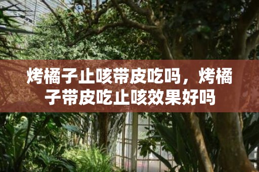 烤橘子止咳带皮吃吗，烤橘子带皮吃止咳效果好吗