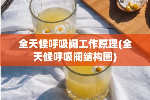 全天候呼吸阀工作原理(全天候呼吸阀结构图)