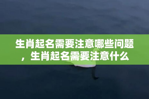 生肖起名需要注意哪些问题，生肖起名需要注意什么