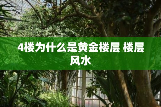 4楼为什么是黄金楼层 楼层风水