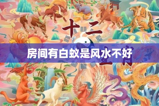 房间有白蚁是风水不好