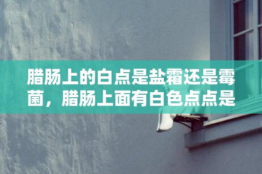 腊肠上的白点是盐霜还是霉菌，腊肠上面有白色点点是发霉吗