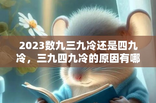 2023数九三九冷还是四九冷，三九四九冷的原因有哪些