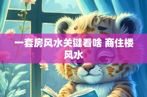 一套房风水关键看啥 商住楼风水