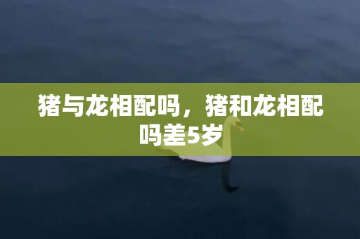 猪与龙相配吗，猪和龙相配吗差5岁