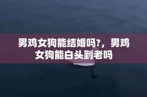 男鸡女狗能结婚吗?，男鸡女狗能白头到老吗