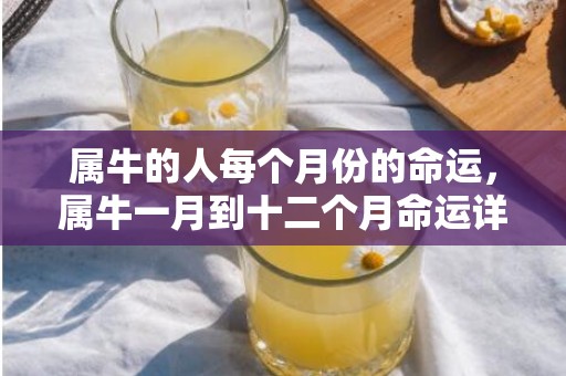 属牛的人每个月份的命运，属牛一月到十二个月命运详解