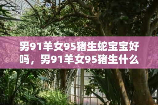 男91羊女95猪生蛇宝宝好吗，男91羊女95猪生什么宝宝好