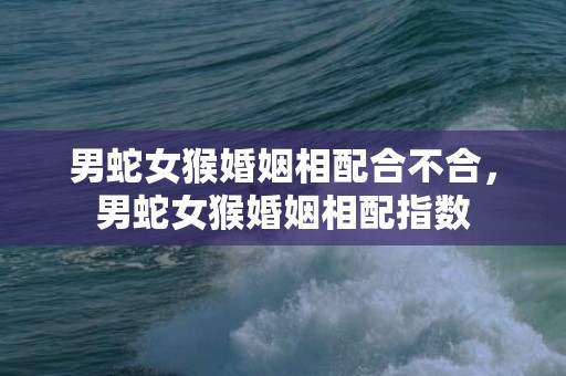 男蛇女猴婚姻相配合不合，男蛇女猴婚姻相配指数