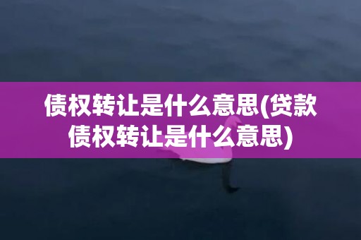 债权转让是什么意思(贷款债权转让是什么意思)