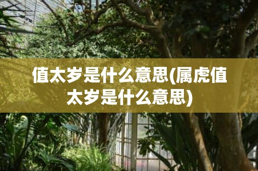 值太岁是什么意思(属虎值太岁是什么意思)