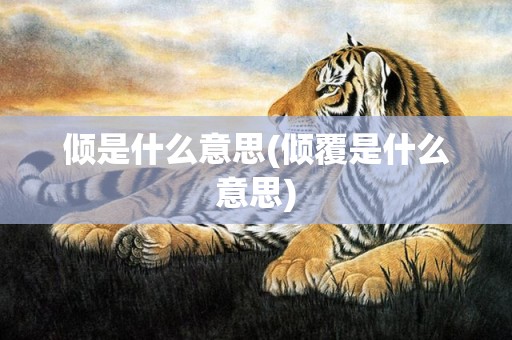 倾是什么意思(倾覆是什么意思)