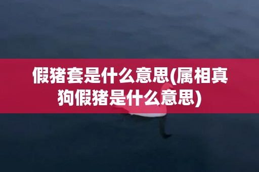 假猪套是什么意思(属相真狗假猪是什么意思)