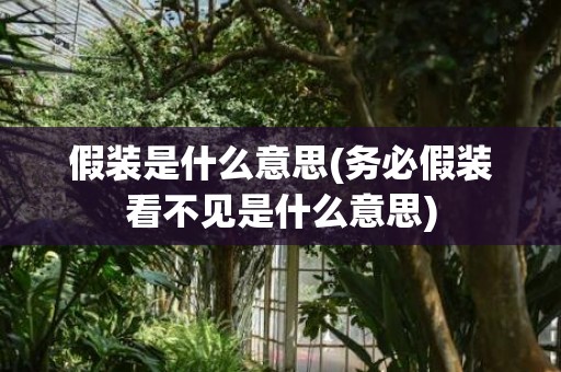 假装是什么意思(务必假装看不见是什么意思)