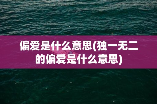 偏爱是什么意思(独一无二的偏爱是什么意思)
