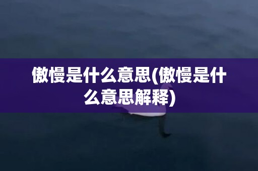 傲慢是什么意思(傲慢是什么意思解释)