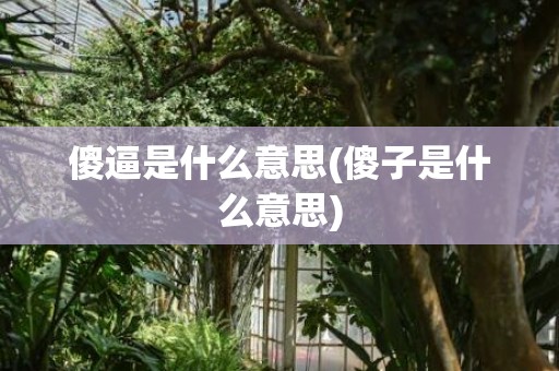 傻逼是什么意思(傻子是什么意思)